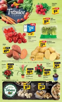 akční leták Albert 18.1.2023-24.1.2023