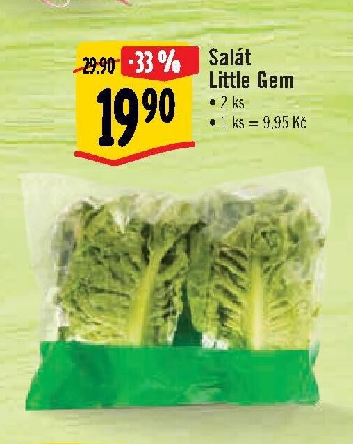 Salát Little Gem