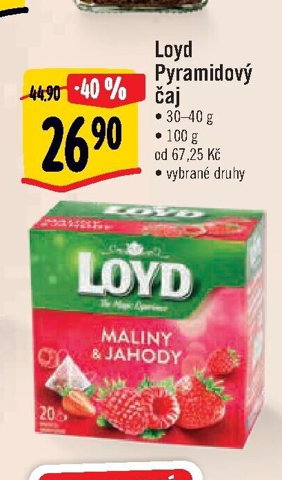 Loyd Pyramidový čaj