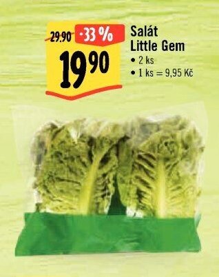 Salát Little Gem