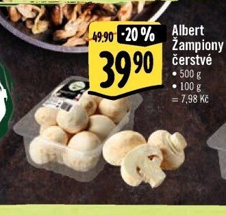 Albert Žampiony čerstvé