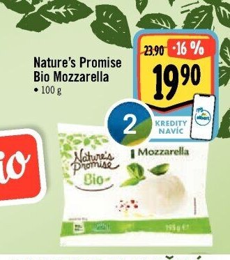 Nature's Promise Bio Mozzarella