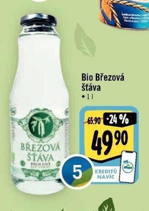 Bio Březová šťáva