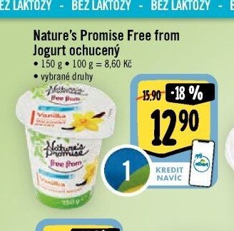 Nature's Promise Free from Jogurt ochucený