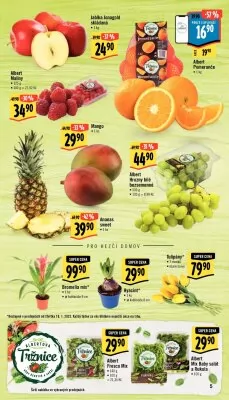 akční leták Albert 18.1.2023-24.1.2023