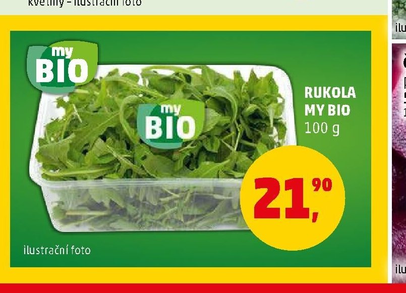 RUKOLA MY BIO