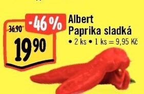 Paprika červená Albert