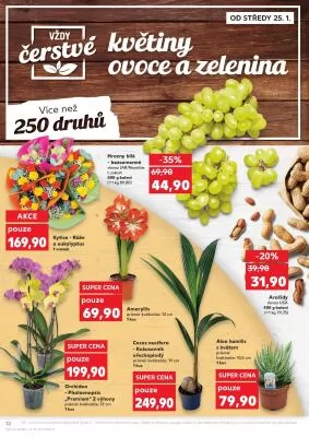 akční leták Kaufland 25.1.2023-31.1.2023