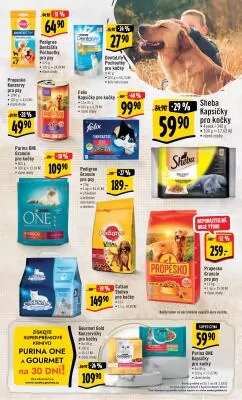 akční leták Albert 25.1.2023-31.1.2023