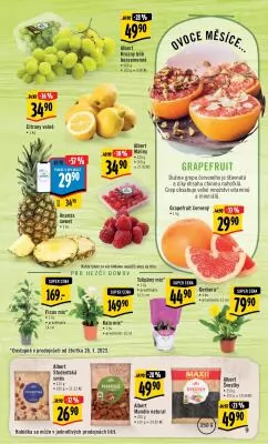 akční leták Albert 25.1.2023-31.1.2023