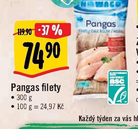 Pangas filety