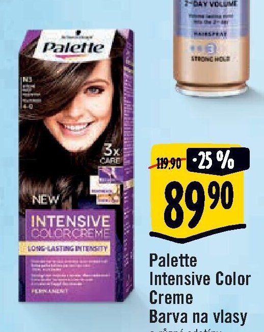 Palette Intensive Color Creme Barva na vlasy