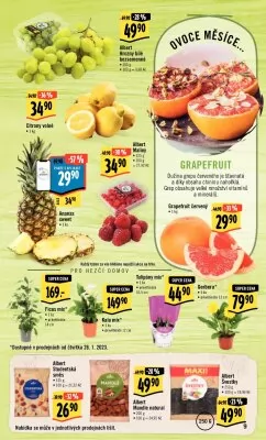 akční leták Albert 25.1.2023-31.1.2023