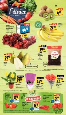 akční leták Albert 25.1.2023-31.1.2023