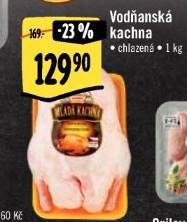 Kachna Vodňanská kachna