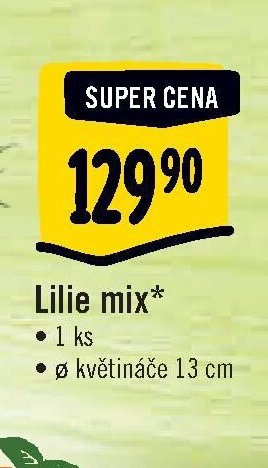 Lilie mix