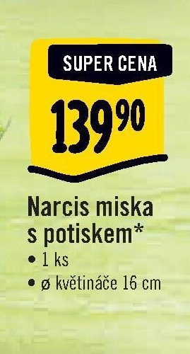 Narcis miska s potiskem