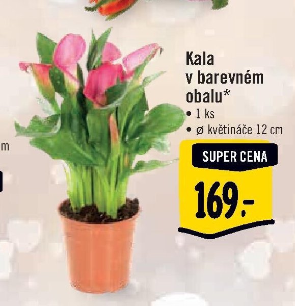 Kala v barevném obalu