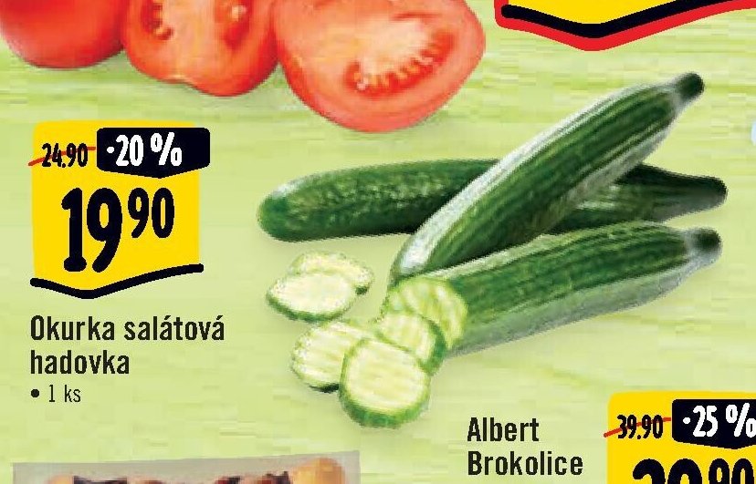 Okurka salátová hadovka