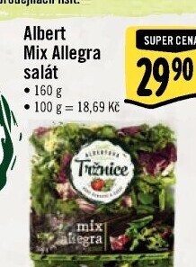 Salát Allegra mix Albert