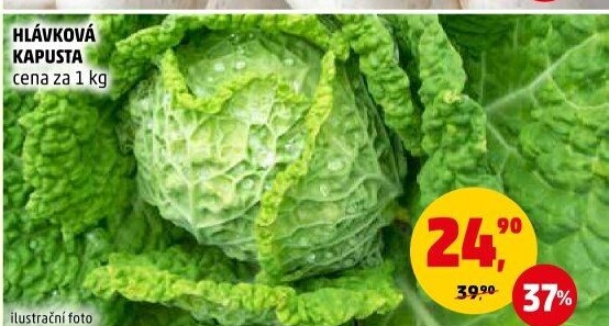 Kapusta hlávková