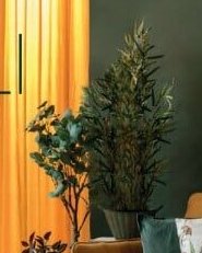 Umělá rostlina - ASKO akcniletaky.com