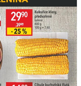 Kukuřice klasy