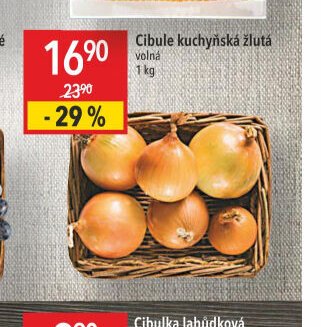 Cibule kuchyňská žlutá