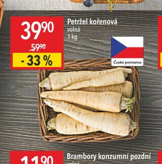 Petržel kořenová