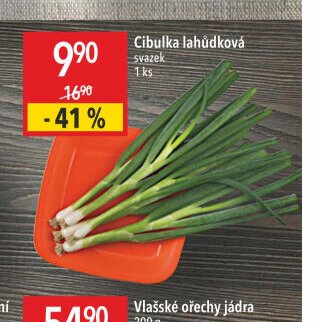 Cibulka lahůdková