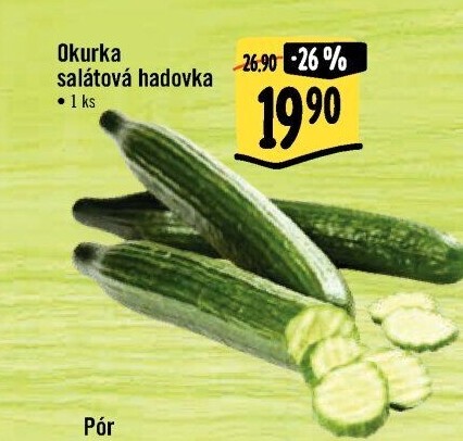 Okurka hadovka
