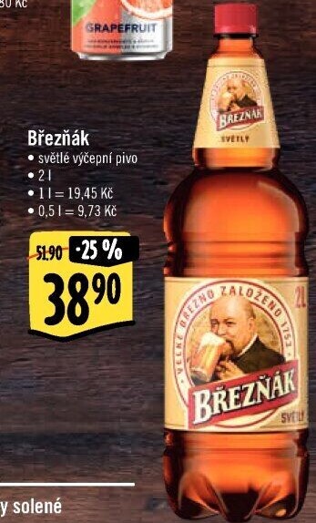 Pivo světlé výčepní 10° Březňák