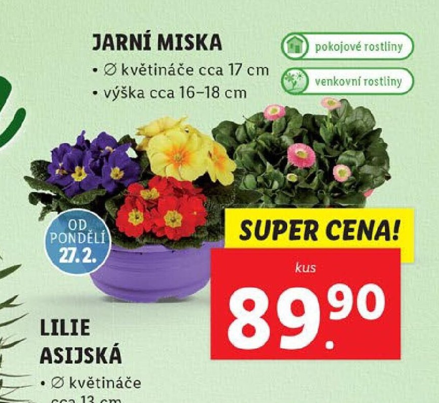 JARNÍ MISKA