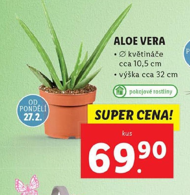 ALOE VERA