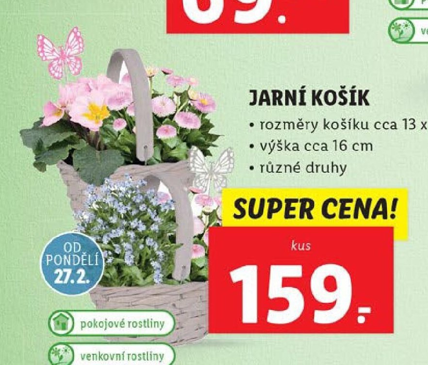 JARNÍ KOŠÍK