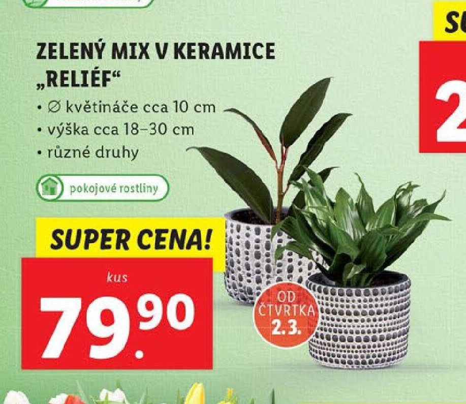 ZELENÝ MIX V KERAMICE „RELIÉF“
