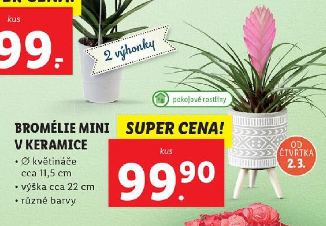 BROMÉLIE MINI V KERAMICE