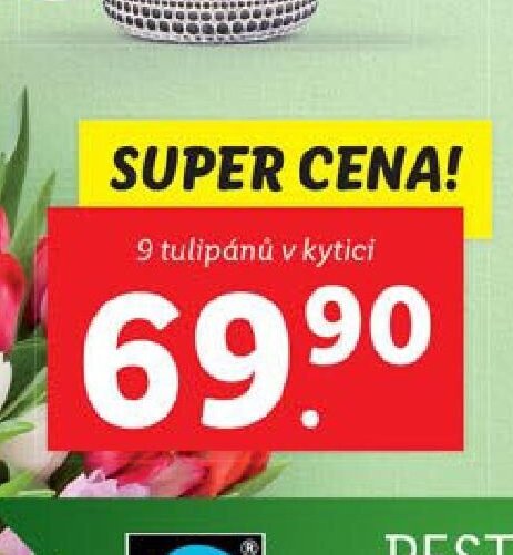 9 tulipánů v kytici
