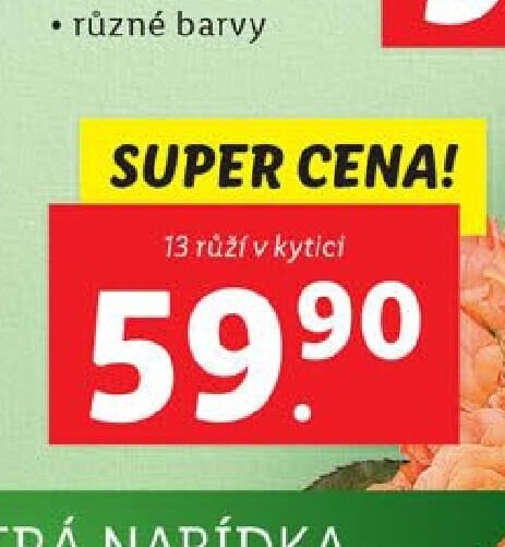 13 růží v kytici
