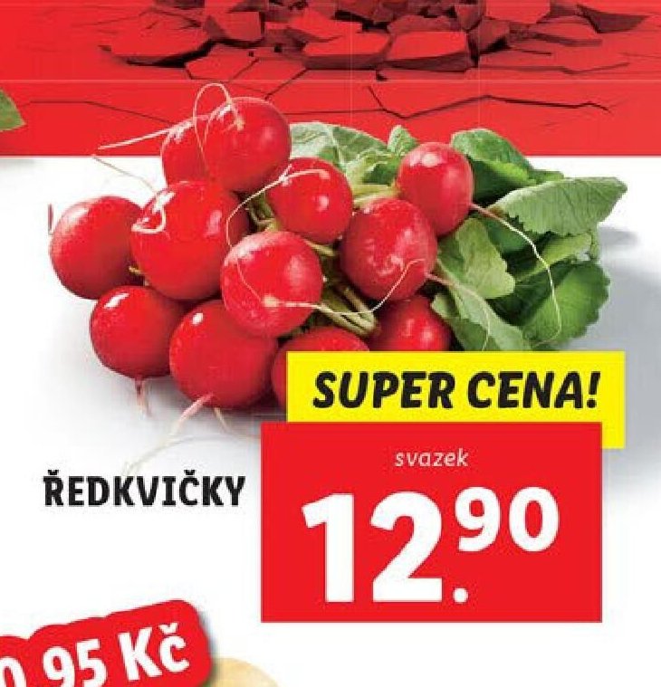 ŘEDKVIČKY