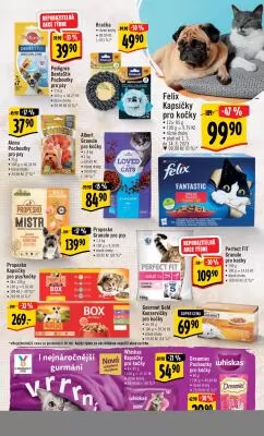 akční leták Albert 1.3.2023-7.3.2023