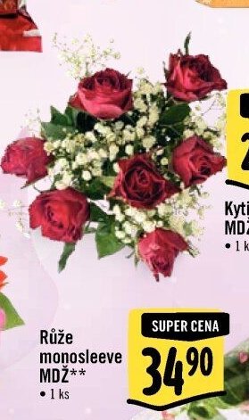 Tulipán/Růže MDŽ