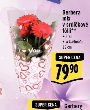 Gerbera mix v srdíčkové fólii