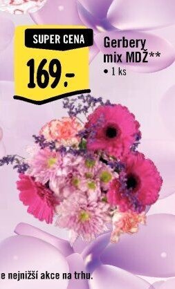 Gerbery mix MDŽ