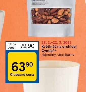 Květináč na orchidej Cyntia