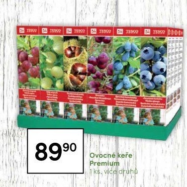 Sazenice ovocných keříků Tesco