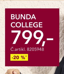Bunda college