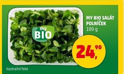 Salát polníček My BIO
