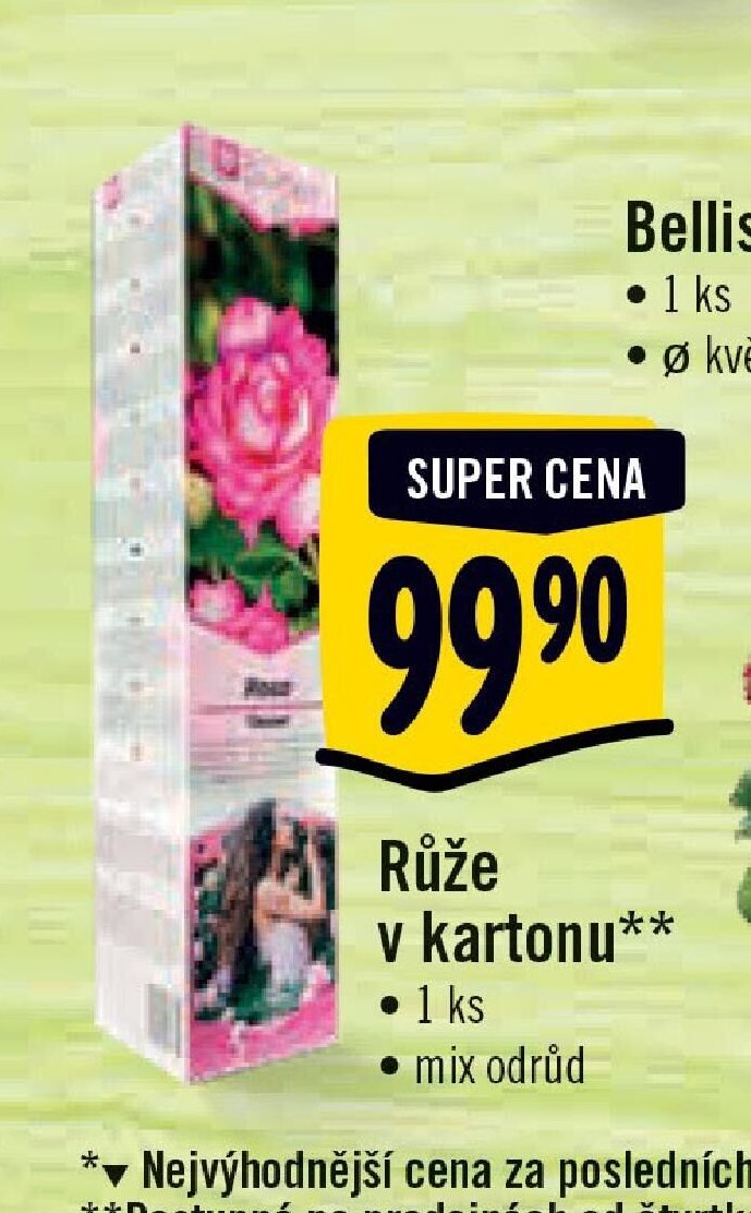 Růže v kartonu