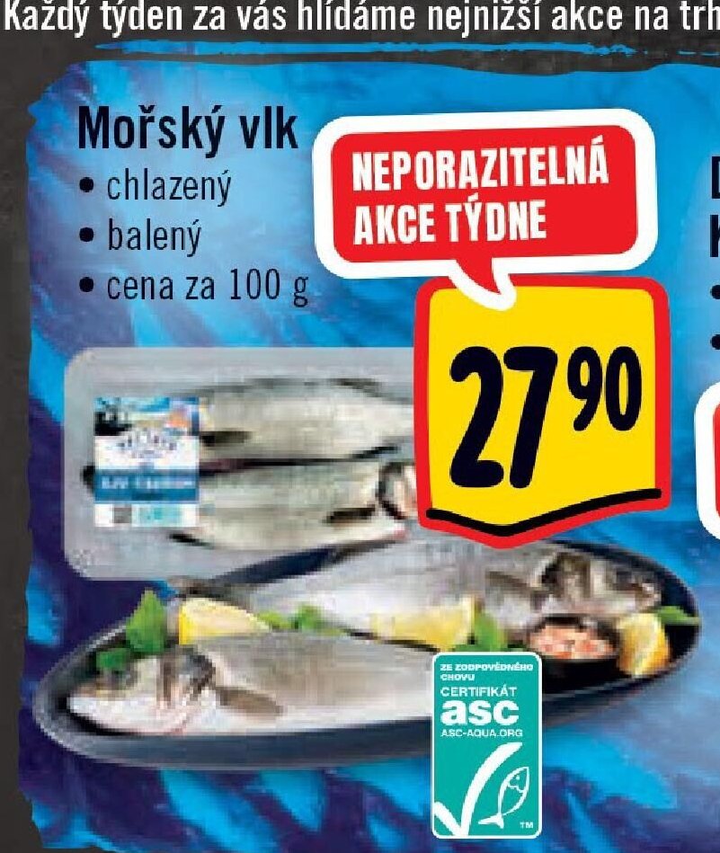 Mořský vlk